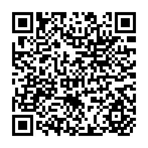 QR Code for Warehousing and Marketing Cereals and Beans in the State of Paraiba, Brazil