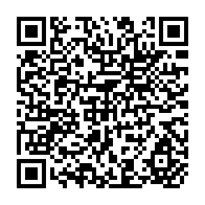 QR Code for Report of the FAO Reginal Workshop on Food Grain Stock Management and Logistics in Aisa
