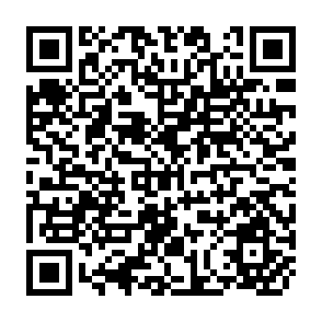 QR Code for International Bank For Reconstruction and Development International Development Association