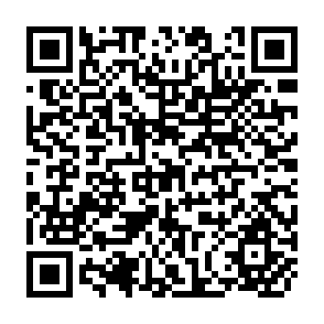 QR Code for Employment Implications of Industrialization in Developing Countries : A survey