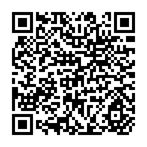 QR Code for Statistics