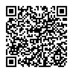 QR Code for Farm Management Analysis of Rice Farming in Southeast Asia: Case Studies in Mekongdelta Chao Pharaya, Java and Sulawesi