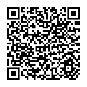 QR Code for Food Subsidies in Egypt: Their Impact on Foreign Exchange and Trade