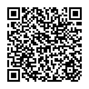QR Code for Modelling Economic and Demographic Development