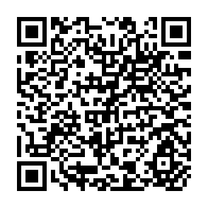 QR Code for Culture and Development