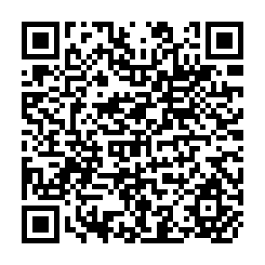 QR Code for National Migration Surveys