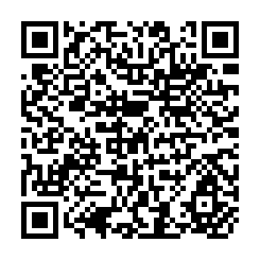 QR Code for Animal Traction
