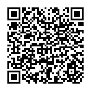 QR Code for The Economics Program at ICRISAT