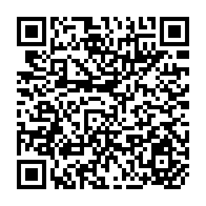 QR Code for Bureaucratic Propagands
