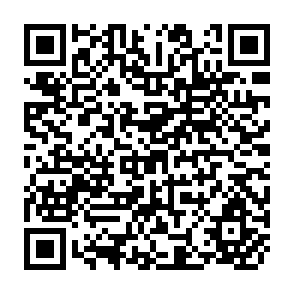 QR Code for Organization Theory and the New Public Administration