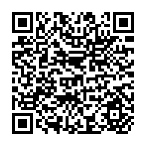 QR Code for Lands Beyond the Forest