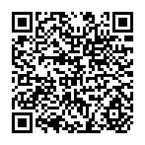 QR Code for Intermediate Price Theory : Analysis, Issues an Applications