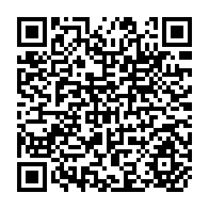 QR Code for The Effects of Food Price and Subsidy Policies on Egyptian Agriculture