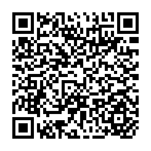 QR Code for Programmable Calculator (T1-59) Programs for Marketing and Price Analysis in Third World Countries