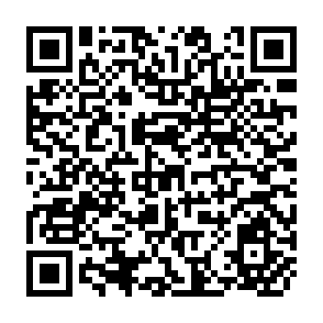 QR Code for 1981 Training for Agriculture and Rural Development