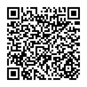 QR Code for The Design of Complex Information Systems