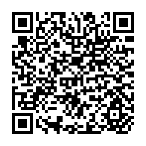 QR Code for PL 480 Title I:The Egyptian Case