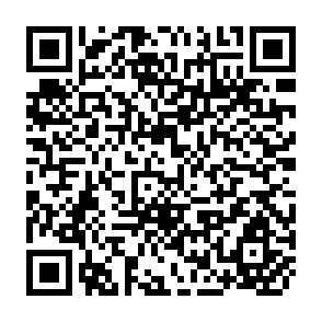 QR Code for Power to the People Rural Electrification Sector Summary Report