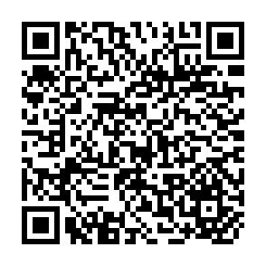 QR Code for Effective institution building: A guide for project designers and project managers based on lessons learned from the AID portfolio