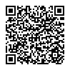 QR Code for Private Sector: Ideas and Opportunities A Review of Basic Concepts and Selected Experience