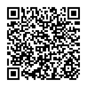 QR Code for A.I.D. Program Evaluatiin Discussion Paper No. 17
