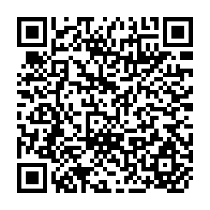 QR Code for Report on Sub-Regional Workshop on Peoples' Participation
