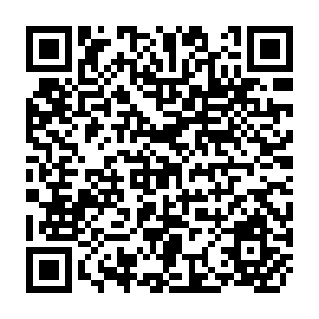 QR Code for Ventures in The Informal Sector, And How They Worked Out in Brazil