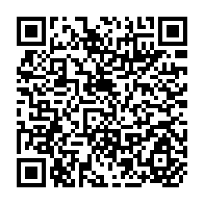 QR Code for The Evaluation of Small Enterprise Programs and Projects: Issues in Business and Community Development