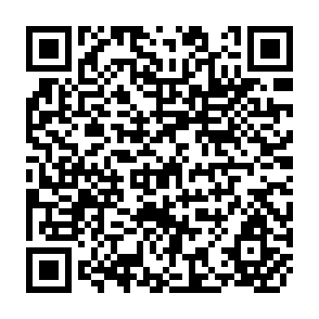 QR Code for The Scope for Incresing Labor Absorption in Pakistan Agriculture