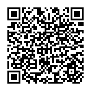 QR Code for On the new Household Economics