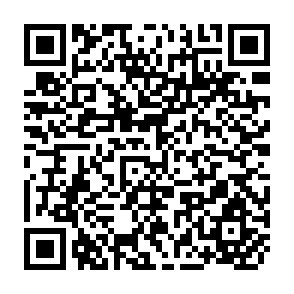 QR Code for Thinking About Energy and Rural Development Methodological Guidelines for Socioeconomic Assessment