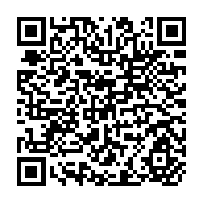 QR Code for Selection and Justfication Procedures for Rural Roads Improvement Projects