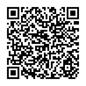 QR Code for Labour Management Consultation Mechanism: Survey & Symposium Report - 2
