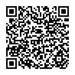 QR Code for Land to the Tiler