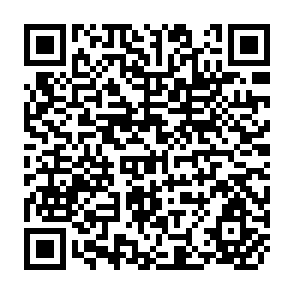 QR Code for The Dimensions of Public Administration