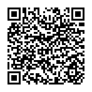QR Code for The Economy of Indonesia Selected Readings