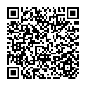 QR Code for Planning and Administration of Tribal Development Programmes- An Overview