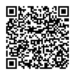 QR Code for Rural Poverty Alleviation in Bangladesh Experiences and Policies