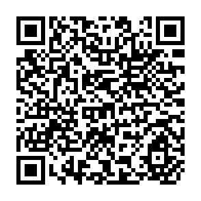 QR Code for The Dynamics of Rural Poverty in Ghana and Its Alleviation