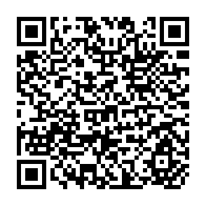 QR Code for Towards the Alleviation of Rural Poverty in the Sudan