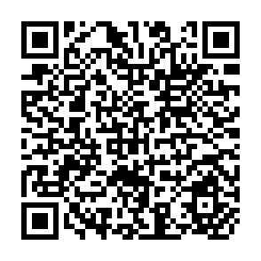 QR Code for Producer's Price Expectations and the Size of the Welfare Gains fro Price Stabilization