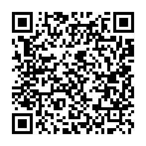 QR Code for Improving Small- Scale Food Industries in Developing Countries
