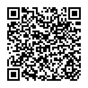 QR Code for Small Farmers Development Programme