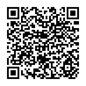 QR Code for Training and Visit Extension