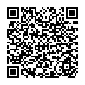 QR Code for Report of the World Food Progremme Government of the Netherlands Seminar on Food AID