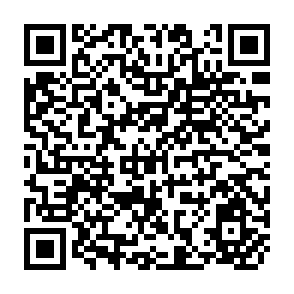 QR Code for Handbook of World Development : The Guide to the Brandt Report
