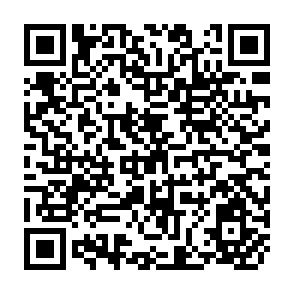 QR Code for Exploratort Data Analysis