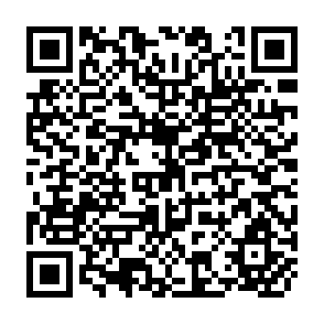 QR Code for The Development Gap - A Spatial Analysis of World Poverty and Inequality