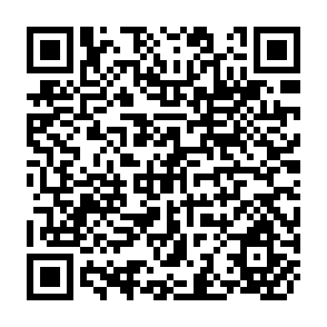 QR Code for Migration and the Labor Market in Developing Countries