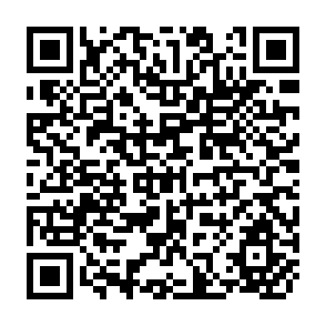 QR Code for Policy planning for agricultural development